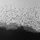 [w],willensstark#,225,willensstark