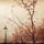 [w],wondrous-place,26,wondrous-place