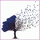 02-10-2012_hokospokos