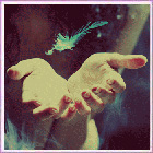 06-08-2012_natamyte