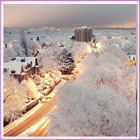 16-12-2011_heartbeat-4